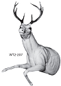 WT2-207